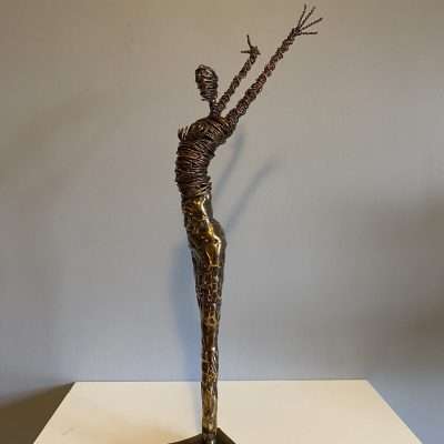 Rachel Ducker Wire Sculpture